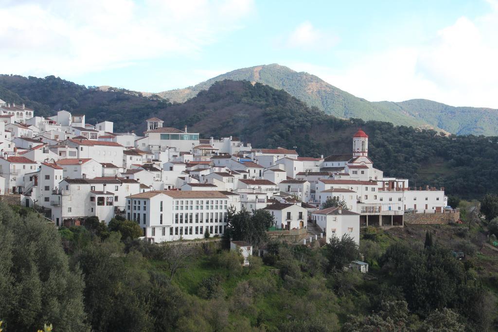 Apartamentos Rurales Jardines Del Visir Genalguacil Eksteriør bilde